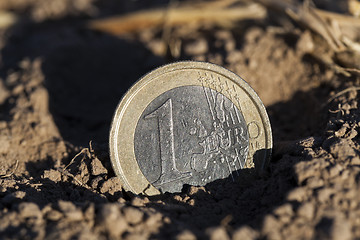 Image showing coin on the ground