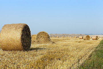 Image showing stack of straw in the field