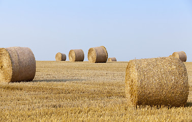 Image showing stack of straw in the field