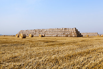 Image showing stack of straw in the field