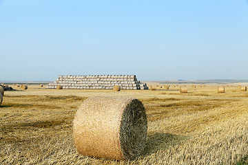 Image showing stack of straw in the field