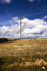 Image showing farm field cereals