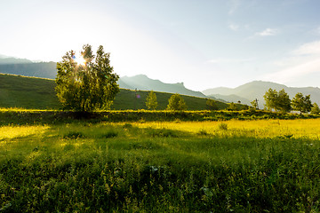 Image showing Altai Mountain in summer