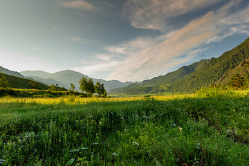 Image showing Altai Mountain in summer