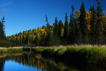 Image showing Perfect fishing spot