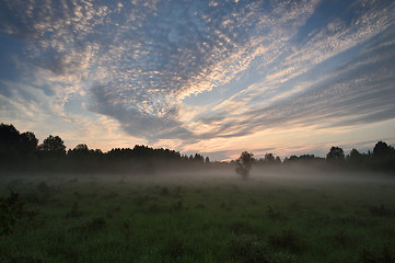 Image showing Misty summer night. Estonia.