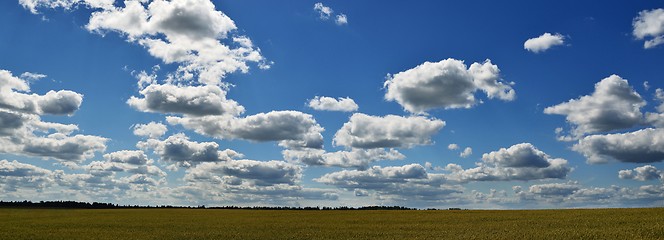 Image showing field on a background of the blue sky