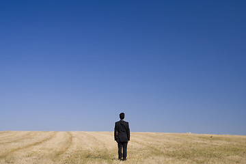 Image showing Alone in the field