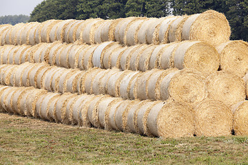 Image showing stack of wheat straw