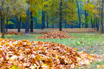 Image showing autumn in the park