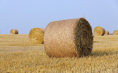 Image showing stack of straw in the field