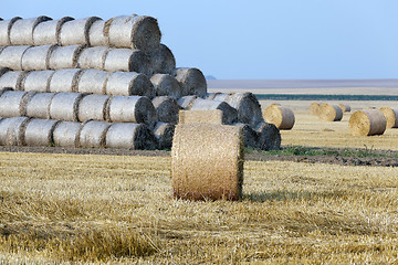 Image showing haystacks in a field of straw