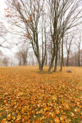 Image showing Autumn Park, overcast