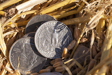 Image showing coin in the straw