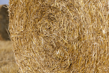 Image showing background stack of straw