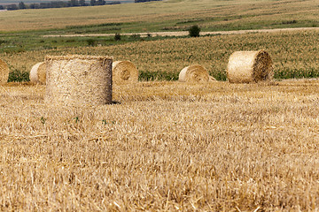 Image showing haystacks in a field of straw