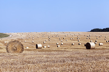 Image showing haystacks in a field of straw