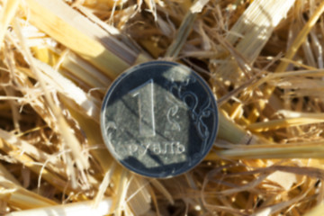 Image showing coin in the straw