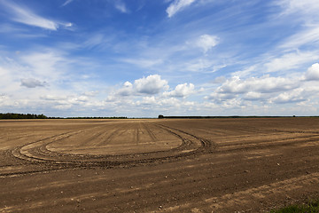 Image showing empty agricultural field