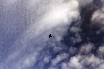 Image showing sky with clouds