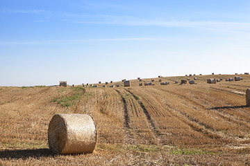 Image showing haystacks in a field of straw