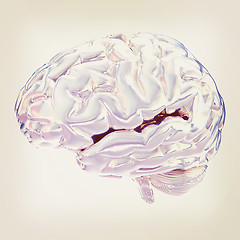 Image showing Human brain. 3D illustration. Vintage style.