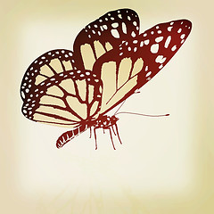 Image showing Black and white beautiful butterfly. High quality rendering. 3D 