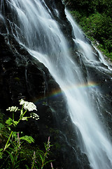 Image showing Waterfall Rainbow