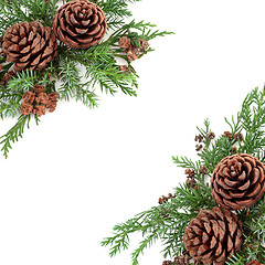 Image showing Winter Greenery and Pine Cone Border