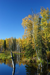 Image showing Calm fall day