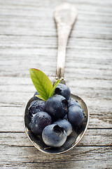 Image showing Blueberry