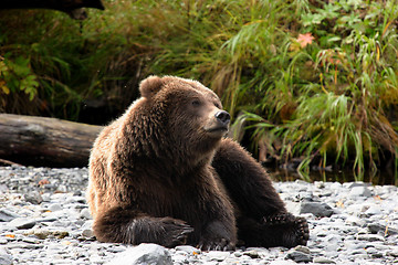 Image showing relaxation