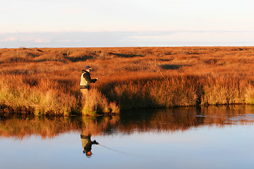 Image showing fish on the line