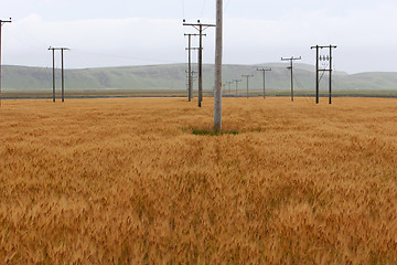 Image showing electric pole field