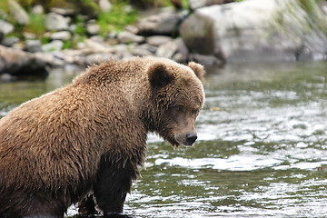 Image showing tired of eating