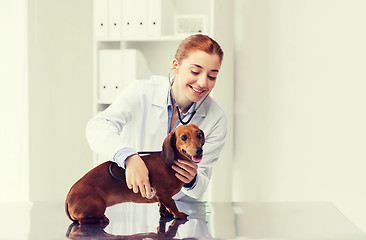 Image showing doctor with stethoscope and dog at vet clinic