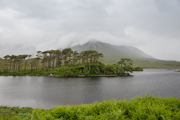 Image showing view to island in lake or river at ireland