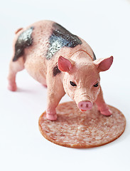 Image showing Miniature Pig with a slice of saussage