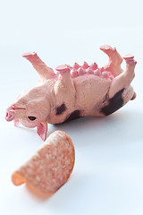 Image showing Miniature Pig with a slice of saussage