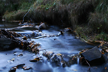 Image showing Creek in autumn