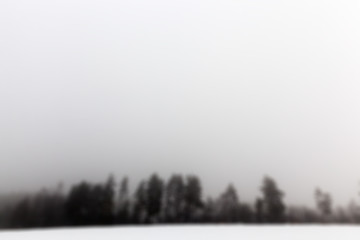 Image showing fog in winter