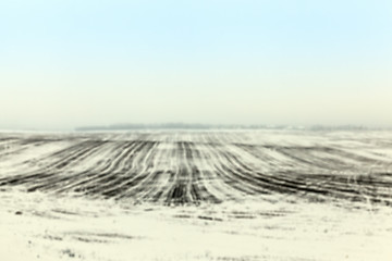 Image showing agriculture field in winter