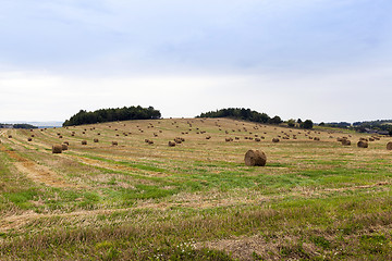 Image showing stack of straw in the field