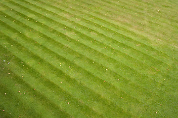 Image showing Grass stripes