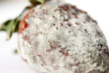 Image showing Strawberry with mold