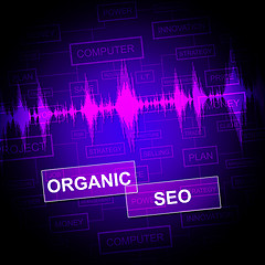 Image showing Organic Seo Indicates Search Engine Website Optimization