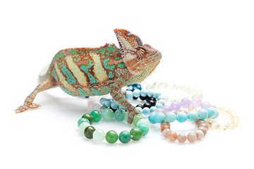 Image showing Beautiful chameleon with natural stone bracelets