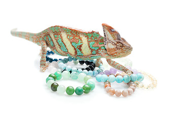 Image showing Beautiful chameleon with natural stone bracelets