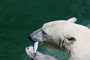 Image showing table manners