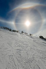 Image showing Sun Halos in Winter